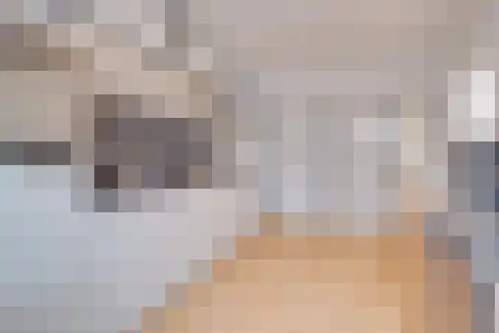 Hubertusstraat 19 Echt thumbnail 12