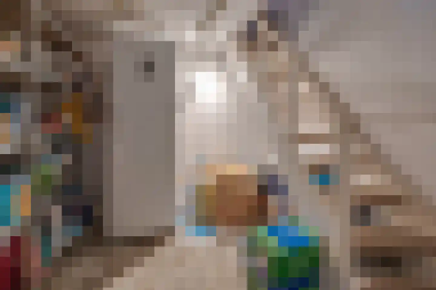 Hubertusstraat 19 Echt thumbnail 31