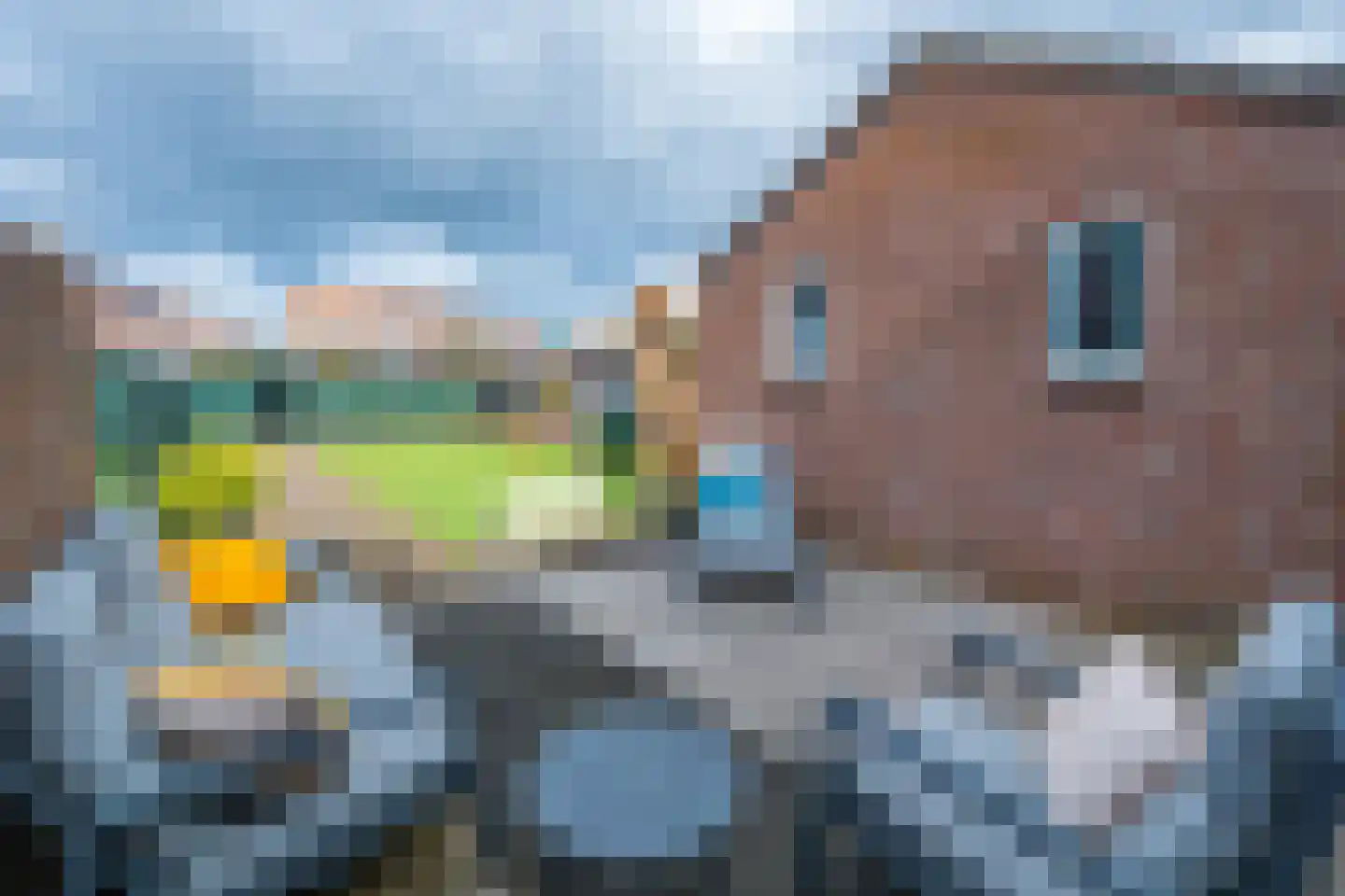 Hubertusstraat 19 Echt thumbnail 5