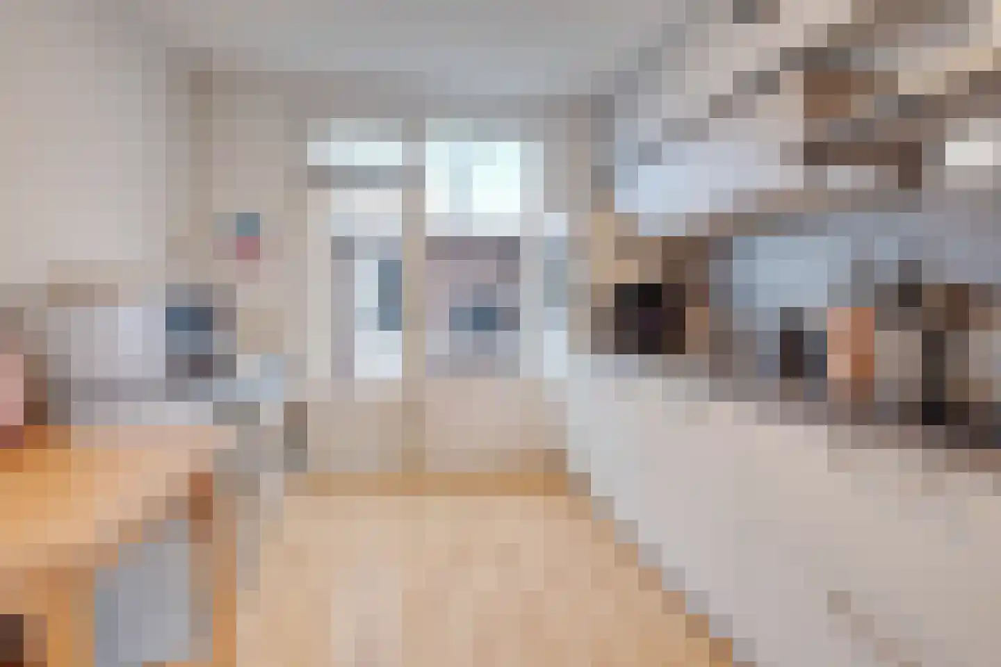 Hubertusstraat 19 Echt thumbnail 9