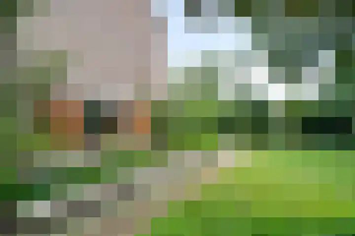 Hubertusstraat 23 Venray thumbnail 33