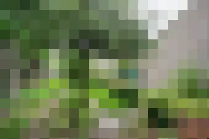 Hubertusstraat 23 Venray thumbnail 34