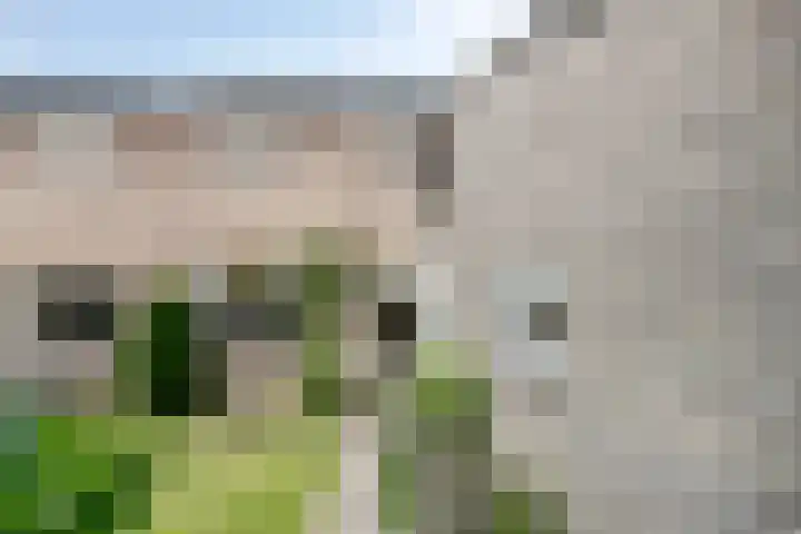 Hubertusstraat 23 Venray thumbnail 36