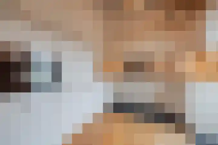 Hubertusstraat 25 Swolgen thumbnail 14