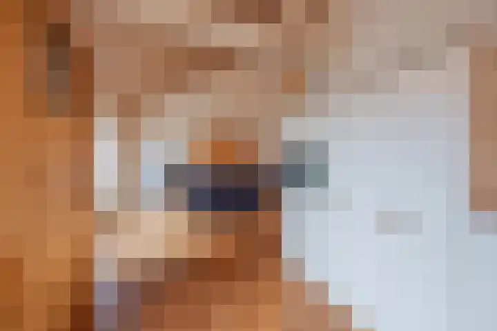 Hubertusstraat 25 Swolgen thumbnail 16