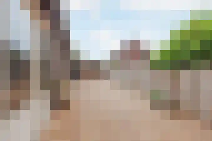 Hubertusstraat 25 Swolgen thumbnail 30