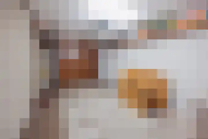 Hubertusstraat 25 Swolgen thumbnail 34