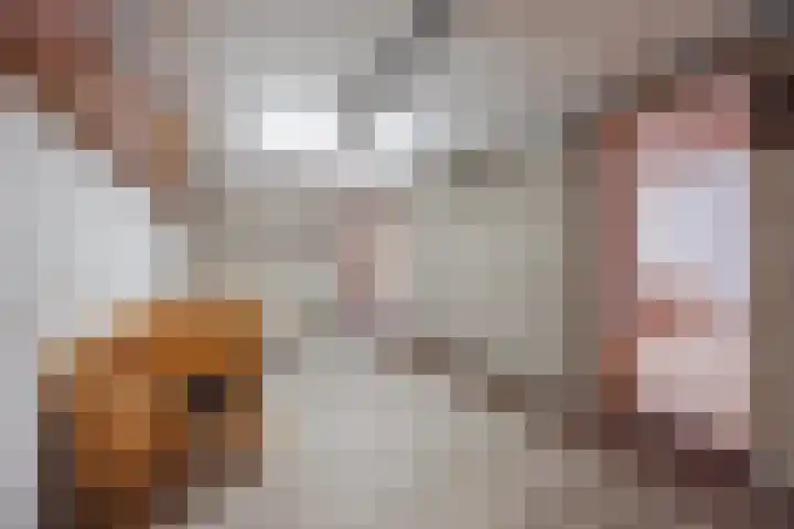 Hubertusstraat 25 Swolgen thumbnail 35