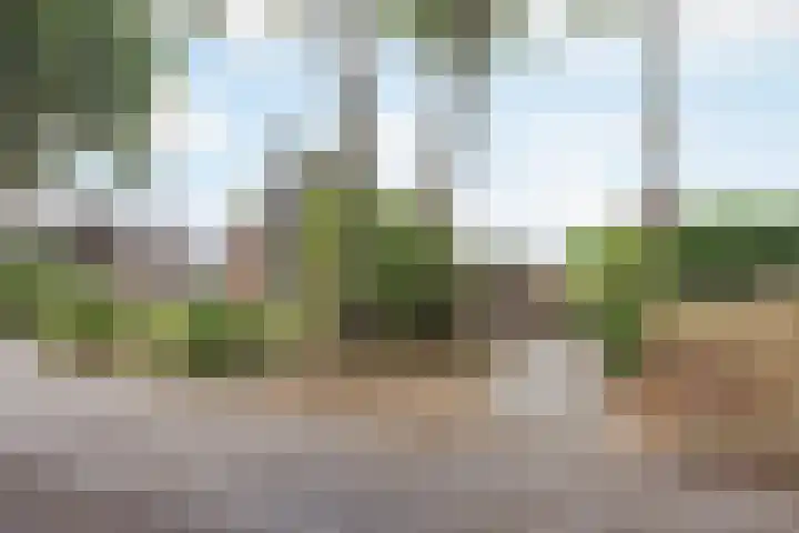 Hubertusstraat 25 Swolgen thumbnail 36