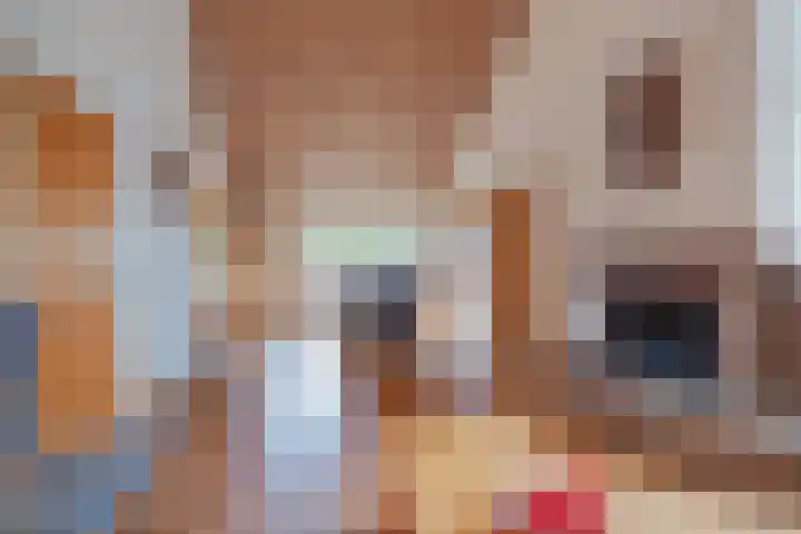 Hubertusstraat 25 Swolgen thumbnail 4