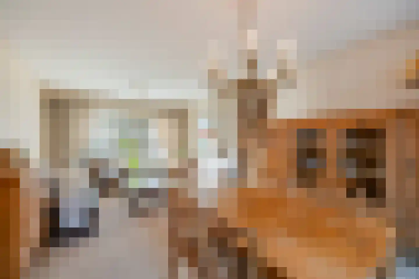 Hubertusstraat 5 Echt thumbnail 10
