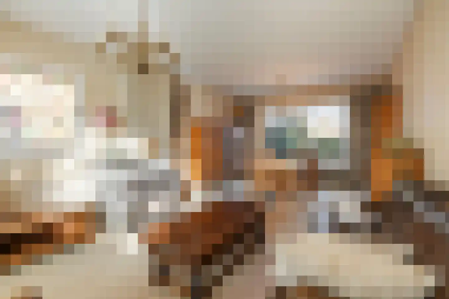 Hubertusstraat 5 Echt thumbnail 13