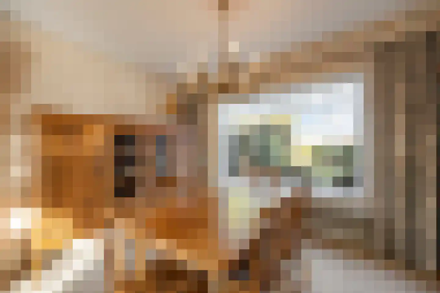 Hubertusstraat 5 Echt thumbnail 14