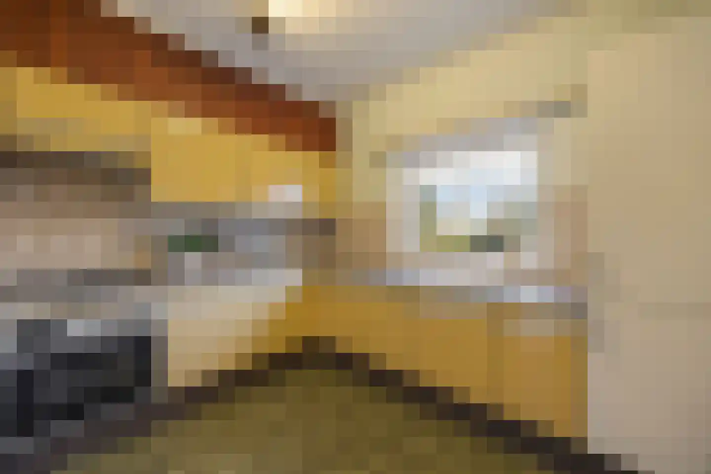 Hubertusstraat 5 Echt thumbnail 22