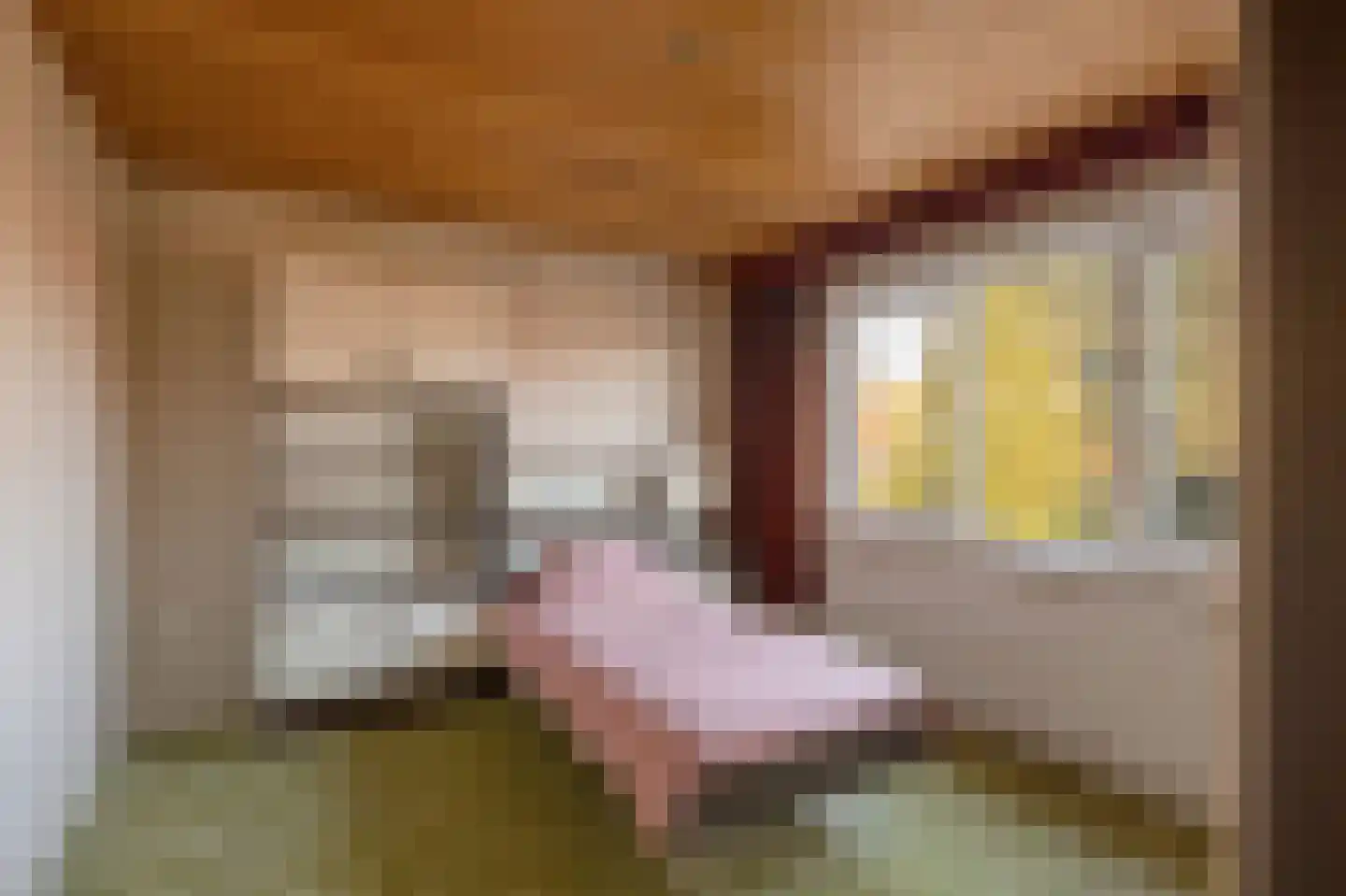 Hubertusstraat 5 Echt thumbnail 29