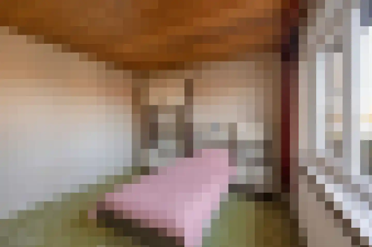 Hubertusstraat 5 Echt thumbnail 30