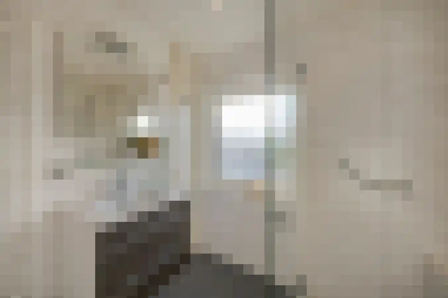 Hubertusstraat 5 Echt thumbnail 35