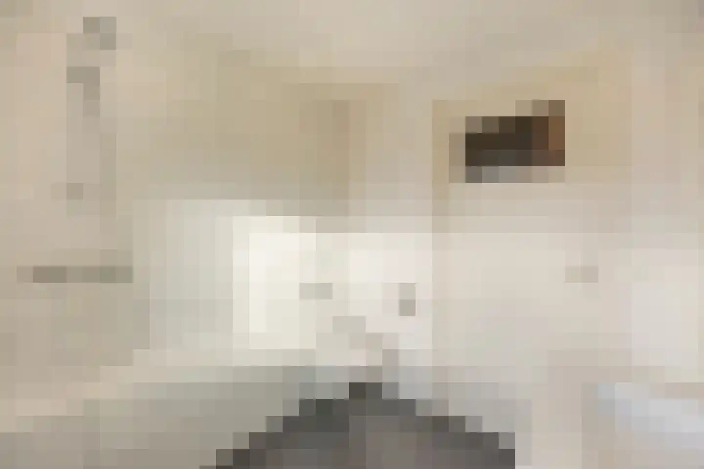 Hubertusstraat 5 Echt thumbnail 36