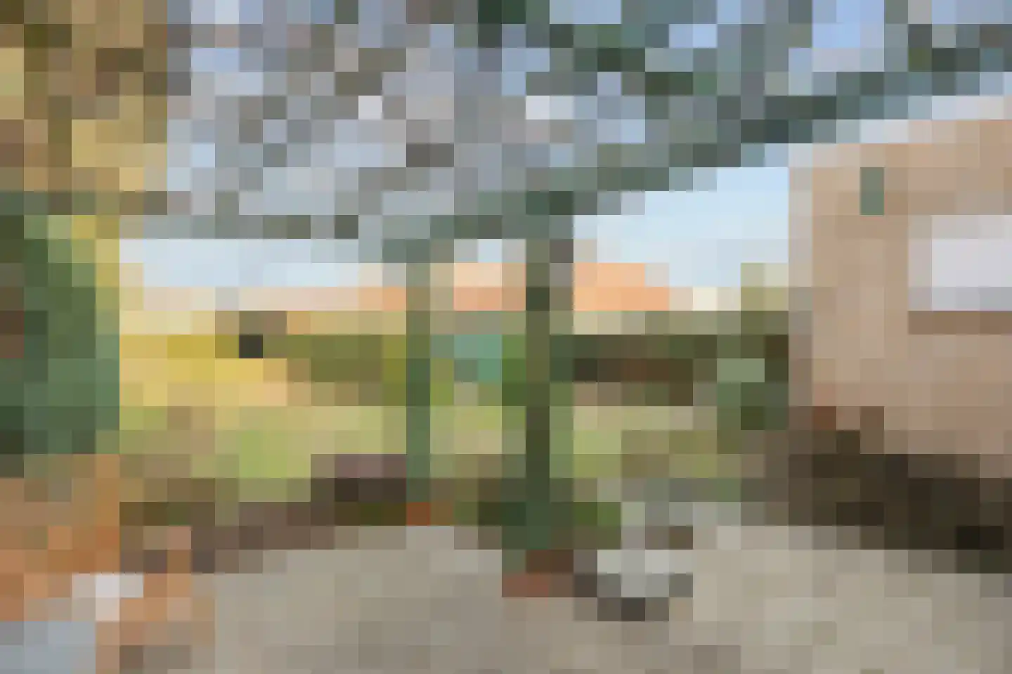 Hubertusstraat 5 Echt thumbnail 39