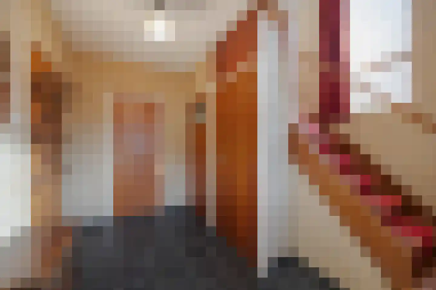 Hubertusstraat 5 Echt thumbnail 8