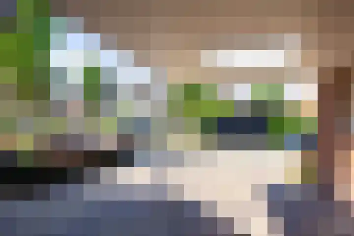 Hubertusstraat 5 Swolgen thumbnail 19