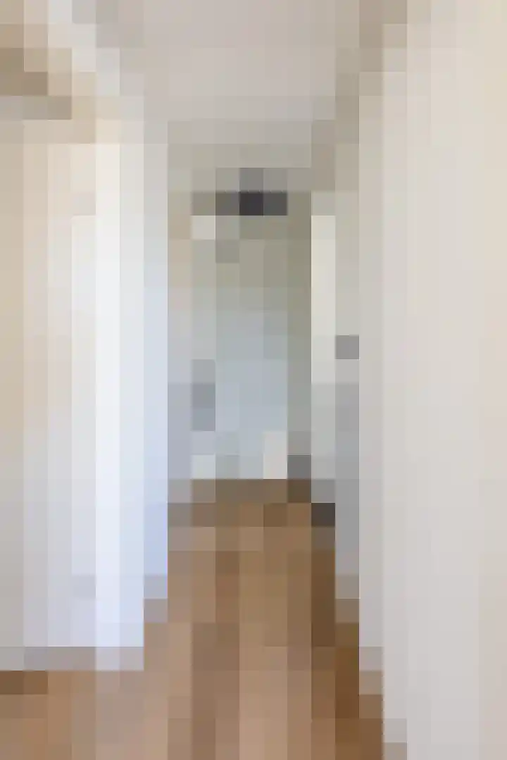 Hubertusstraat 5 Swolgen thumbnail 25