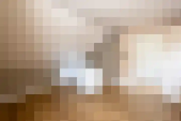 Hubertusstraat 5 Swolgen thumbnail 26