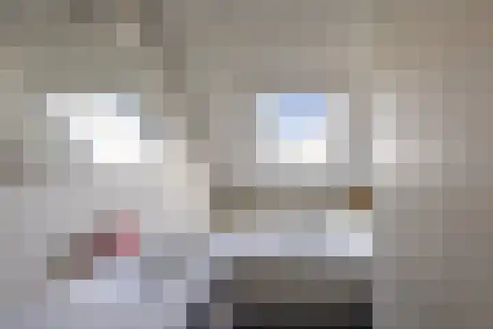Hubertusstraat 5 Swolgen thumbnail 29