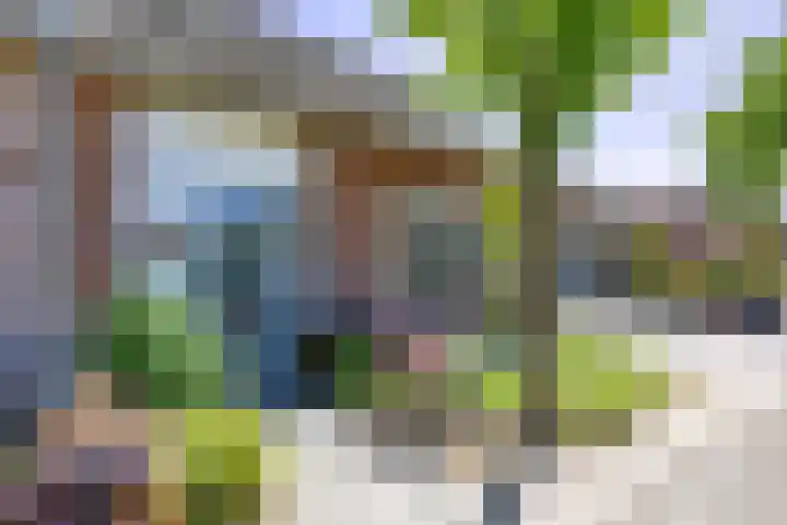 Hubertusstraat 5 Swolgen thumbnail 4