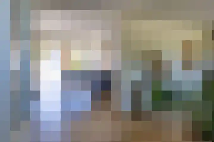 Hubertusstraat 5 Swolgen thumbnail 7