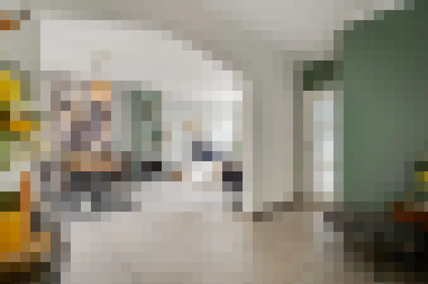 Hubertusstraat 54 Echt thumbnail 12