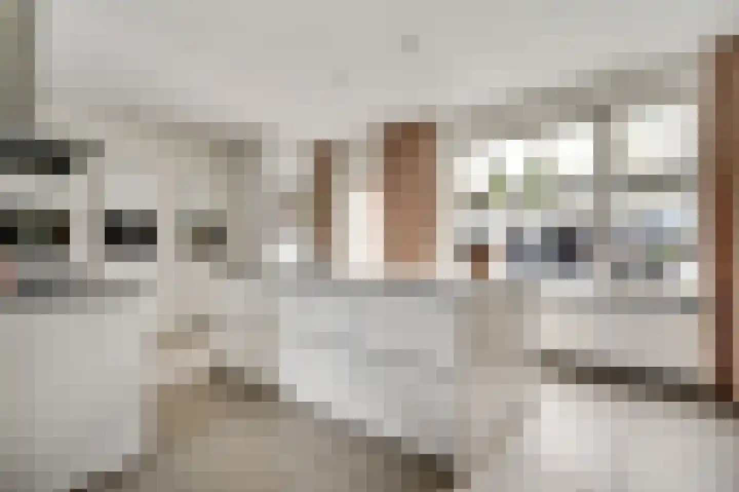 Hubertusstraat 54 Echt thumbnail 13