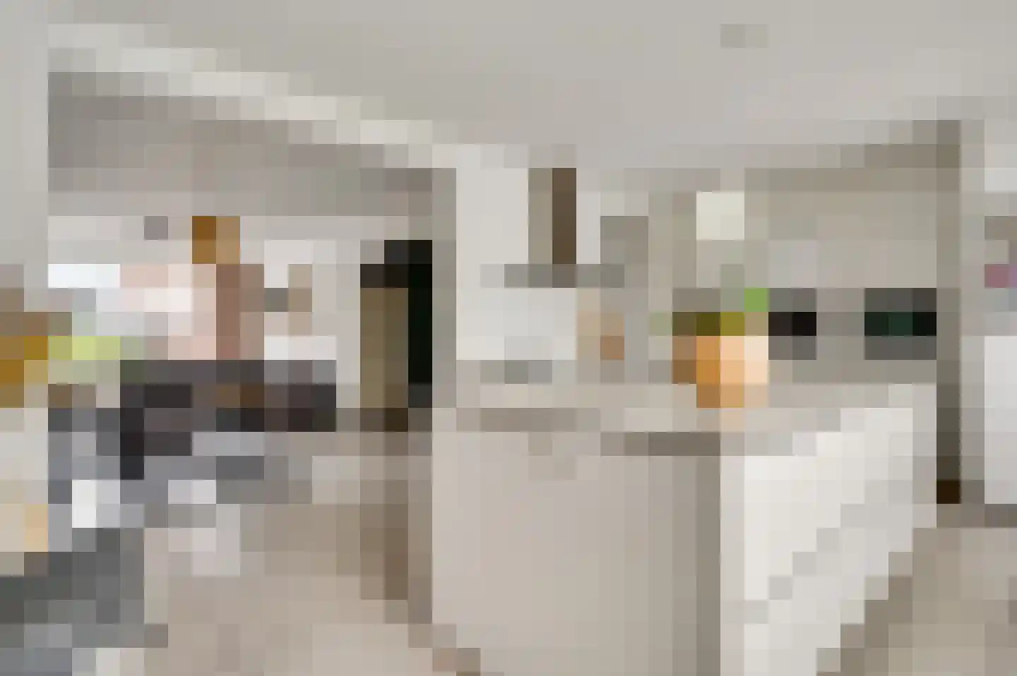 Hubertusstraat 54 Echt thumbnail 14