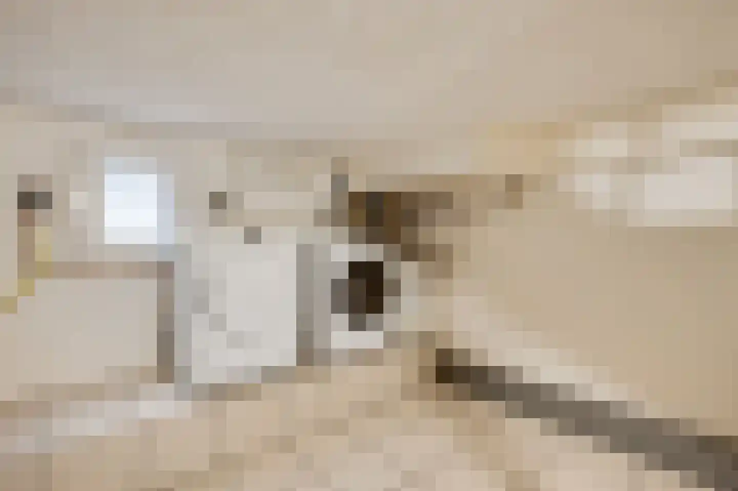 Hubertusstraat 54 Echt thumbnail 18