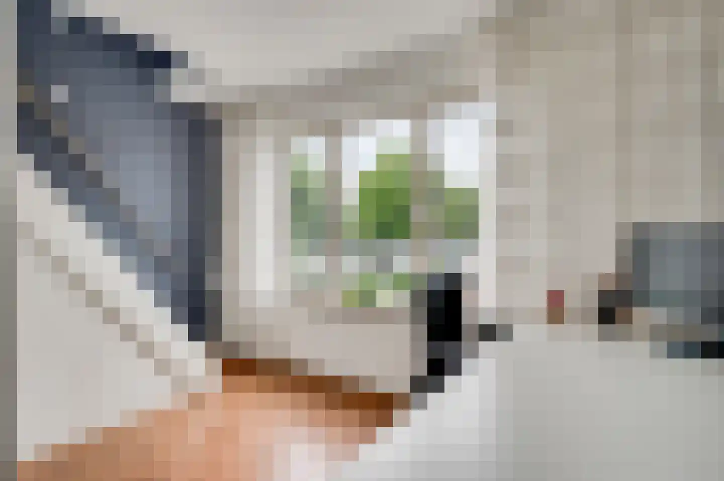 Hubertusstraat 54 Echt thumbnail 29