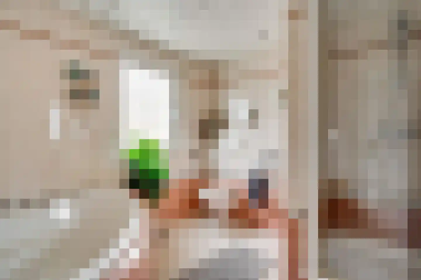 Hubertusstraat 54 Echt thumbnail 31