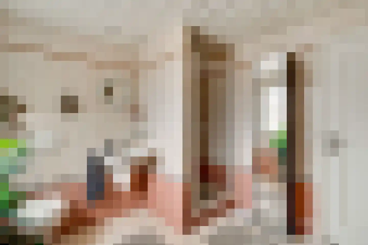 Hubertusstraat 54 Echt thumbnail 32