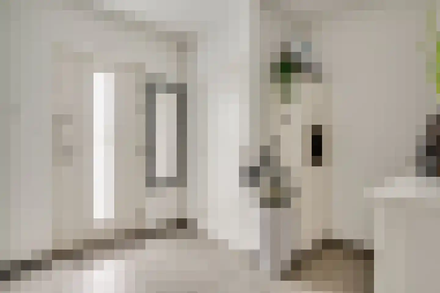 Hubertusstraat 54 Echt thumbnail 4