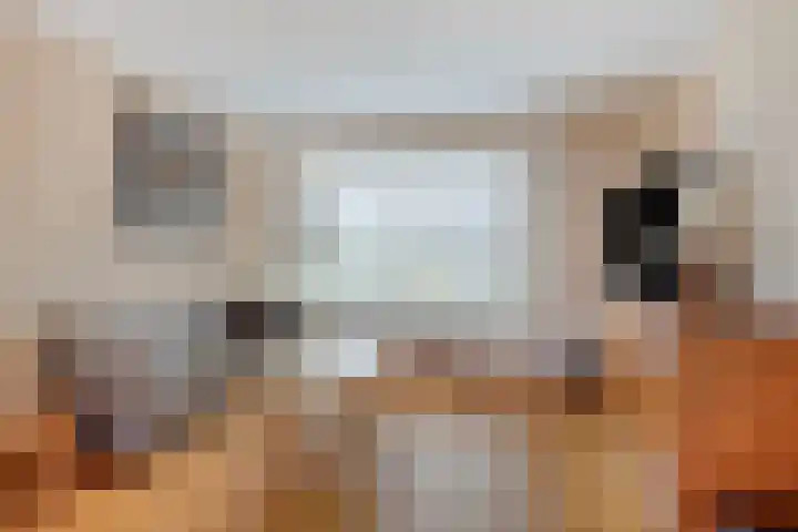 Hubertusstraat 74 Beek thumbnail 8