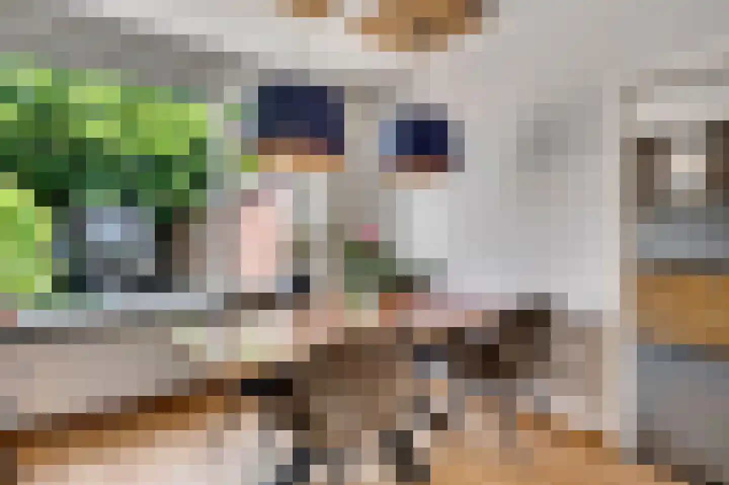 Hubertusstraat 77 Echt thumbnail 13