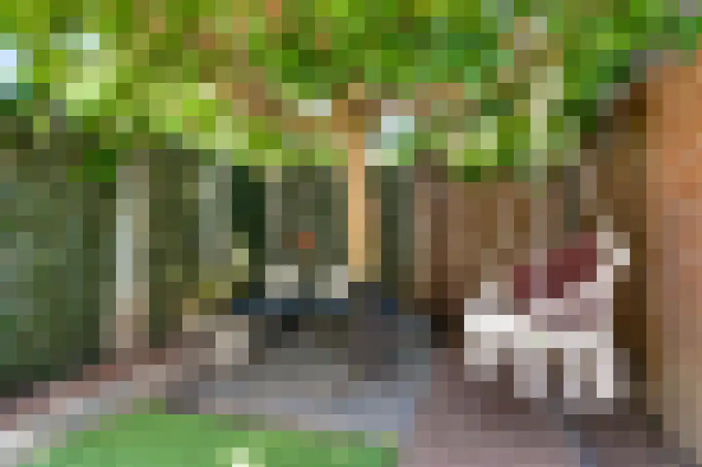 Hubertusstraat 77 Echt thumbnail 31