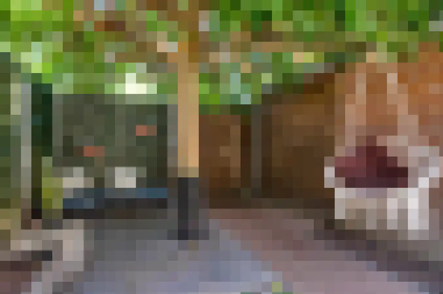 Hubertusstraat 77 Echt thumbnail 32