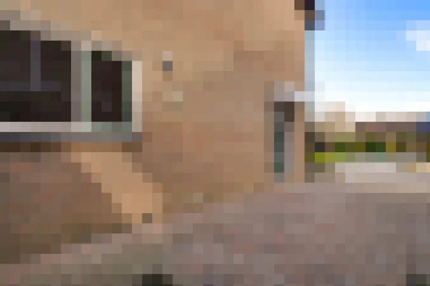 Hubertusstraat 94 Beek thumbnail 41