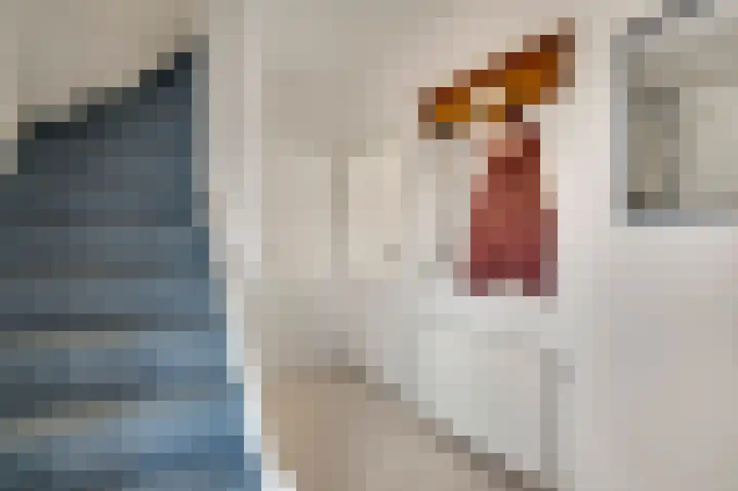 Hubertusstraat 94 Beek thumbnail 7