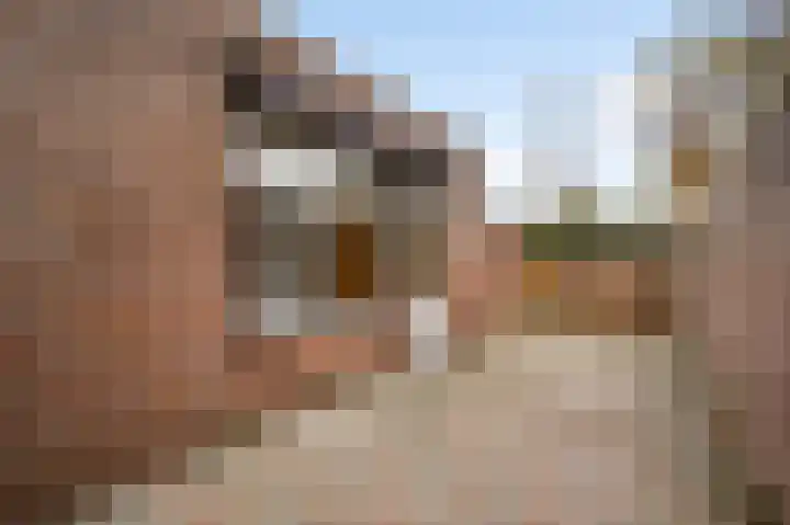 Hubertusstraat 96 Echt thumbnail 19