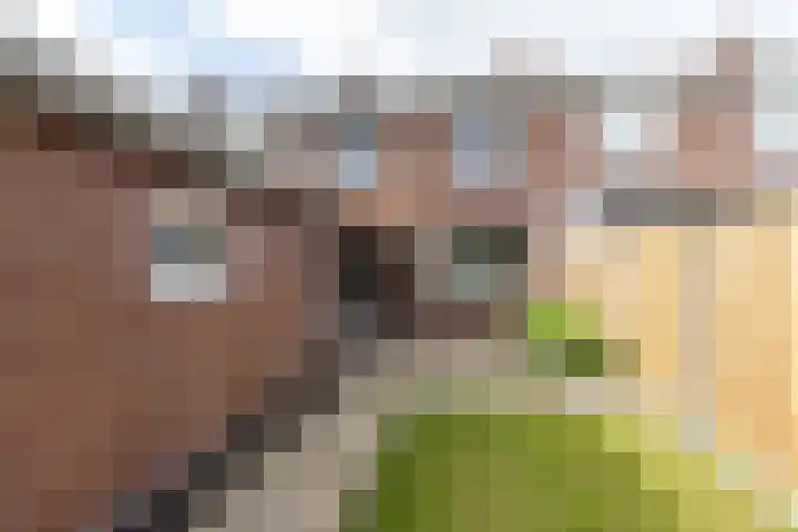 Hubertusstraat 97 Echt thumbnail 19