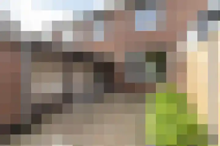 Hubertusstraat 97 Echt thumbnail 20