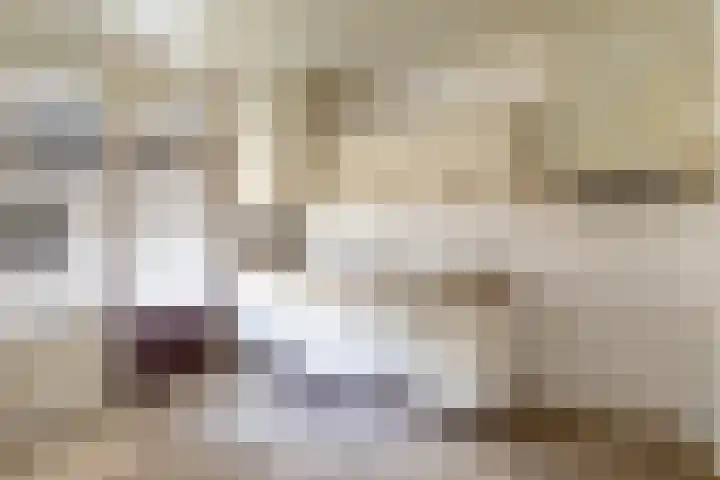 Hubertusstraat 97 Echt thumbnail 5