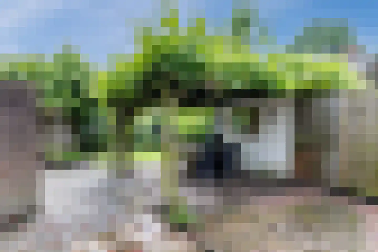 Hubertusveld 49 Gilze thumbnail 16