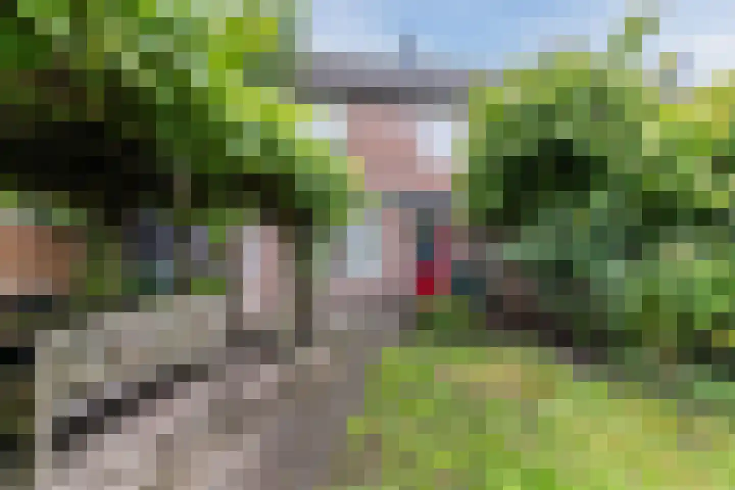 Hubertusveld 49 Gilze thumbnail 17